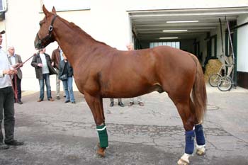 IMG_091